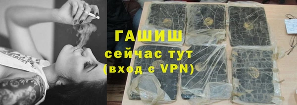твердый Гусев