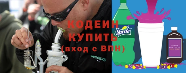 индика Гусиноозёрск