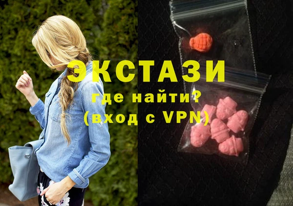 твердый Гусев