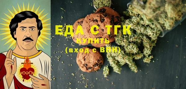 индика Гусиноозёрск