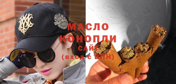 твердый Гусев