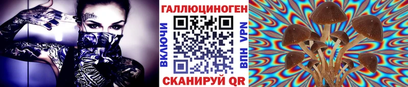 MEGA маркетплейс  Завитинск  Псилоцибиновые грибы мицелий 